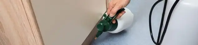 Bed bug exterminator treating baseboards and cracks with targeted spray in Austin, TX