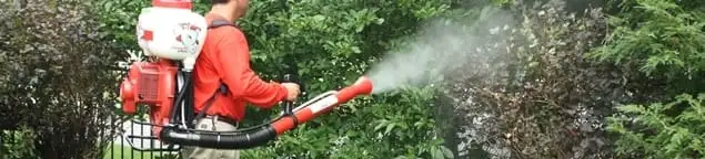 Mosquito control technician fogging shrubs and landscaping for mosquito treatment in Austin, TX