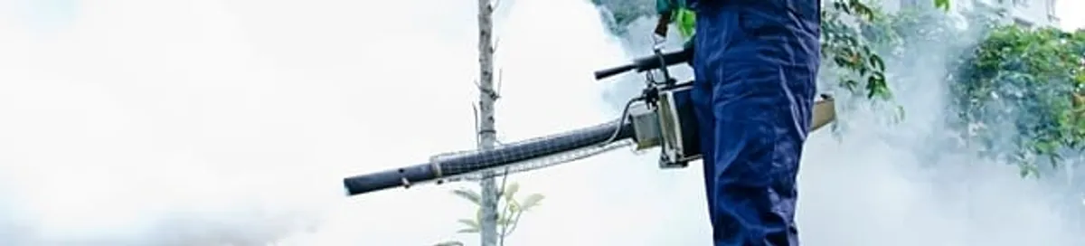 Pest control technician fogging an outdoor area for insect control in Austin, TX