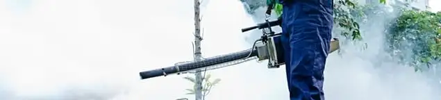 Pest control technician fogging an outdoor area for insect control in Austin, TX