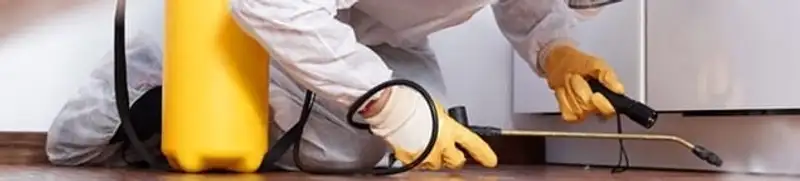 Roach exterminator treating cracks and crevices along kitchen baseboards in Austin, TX