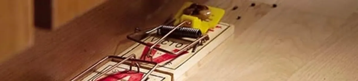 Rodent trap set indoors for rodent control and prevention in Austin, TX