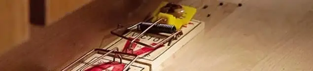 Rodent trap set indoors for rodent control and prevention in Austin, TX